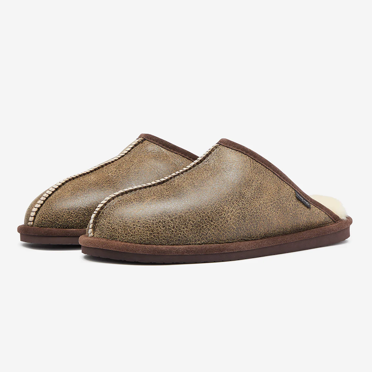 Ashcombe Brown - Image 2