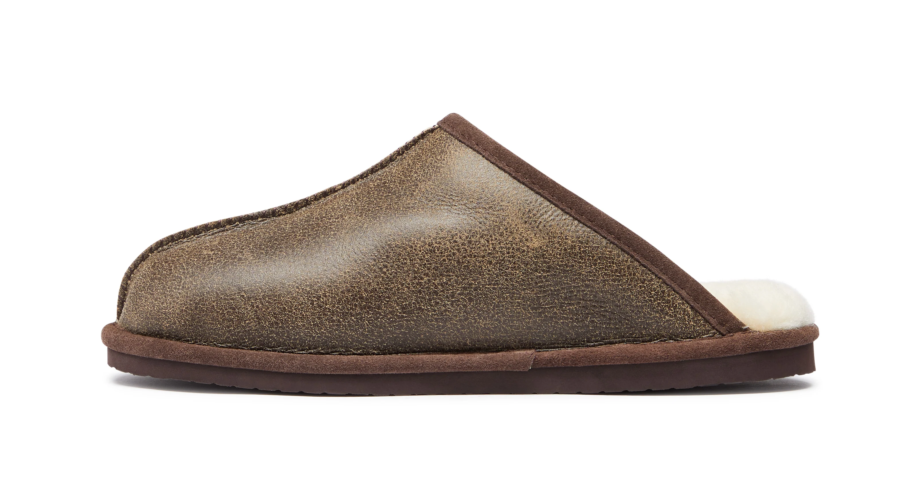 Ashcombe Brown - Image 8