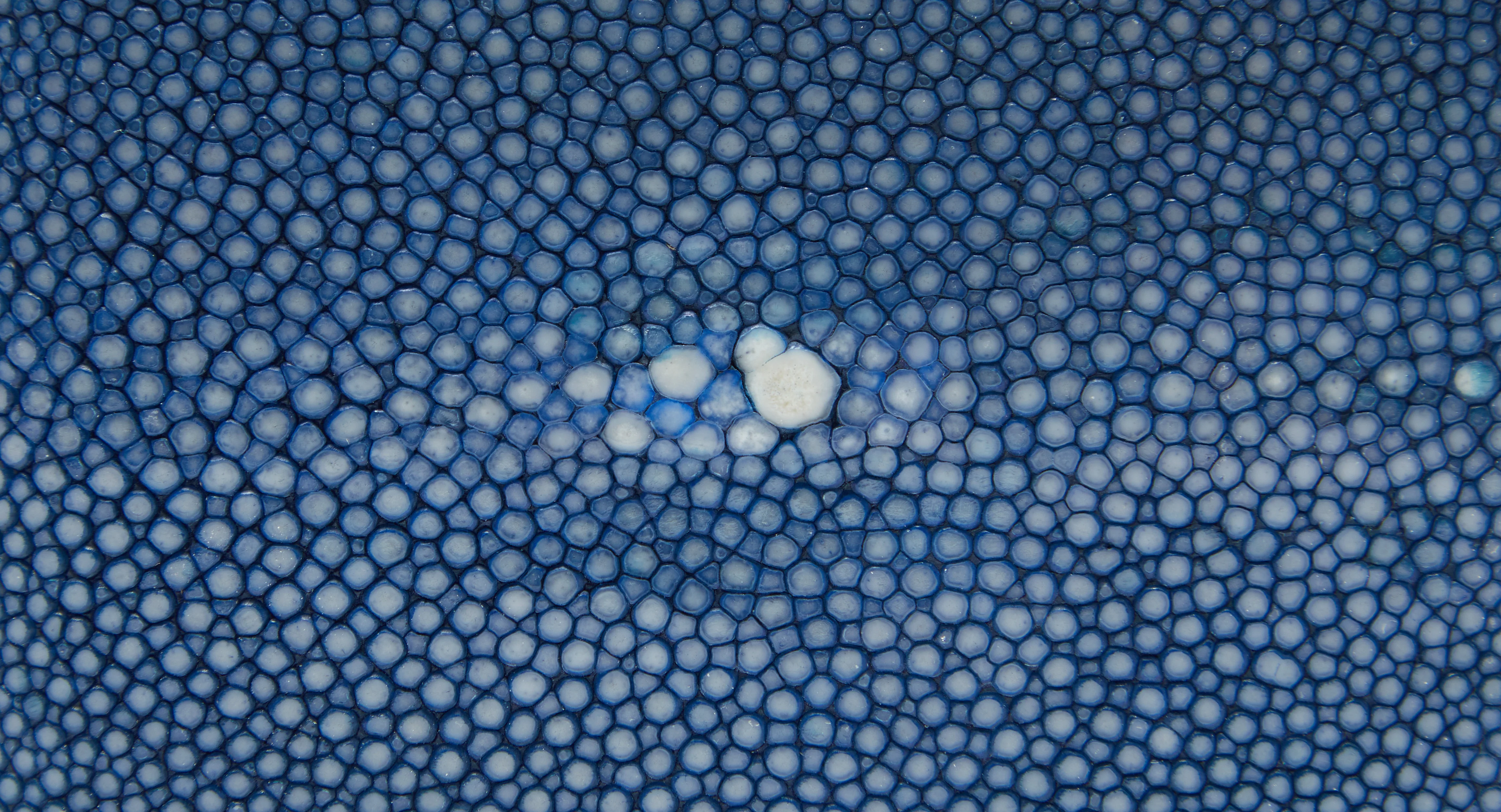 Benson Blue - Image 6