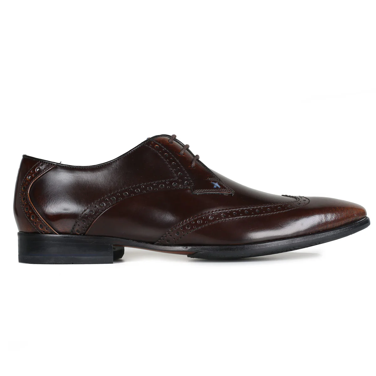 Buxhall Brown - Image 3