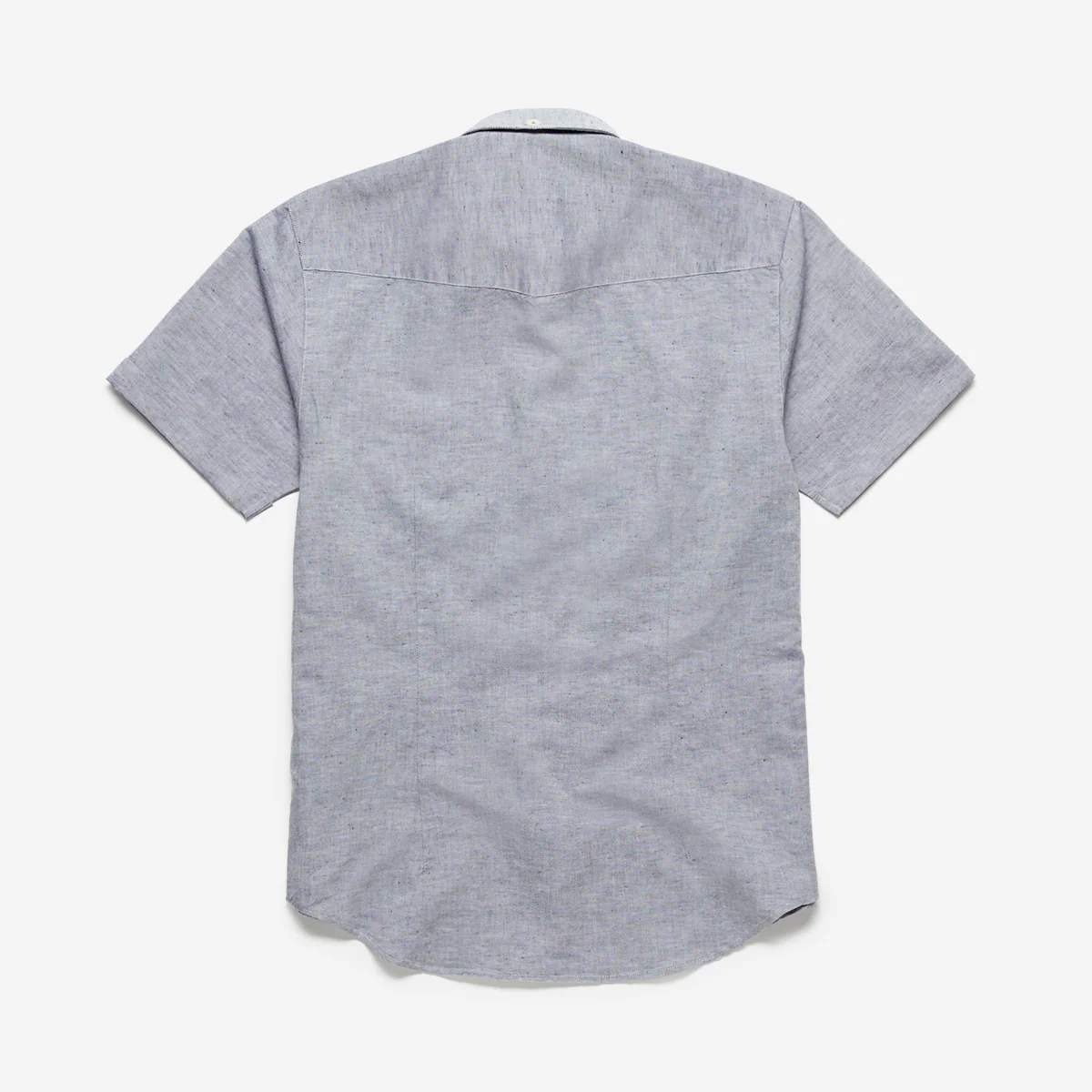 Everthorpe Grey - Image 3