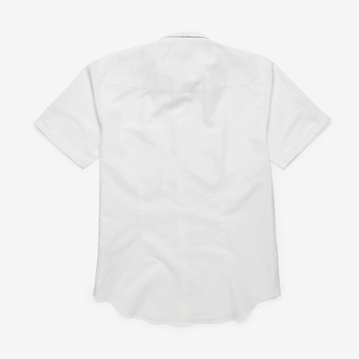 Everthorpe White - Image 3