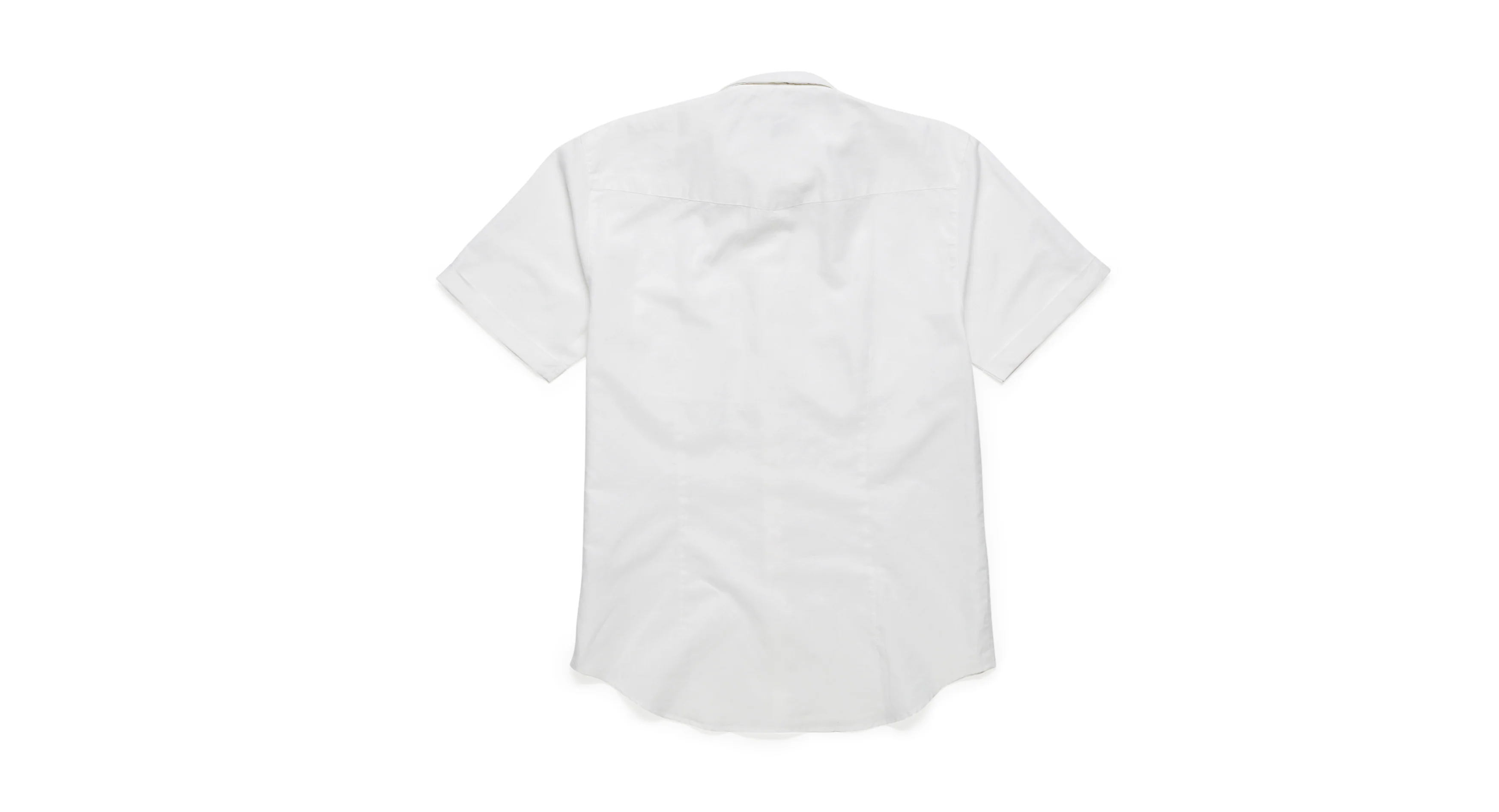 Everthorpe White - Image 5