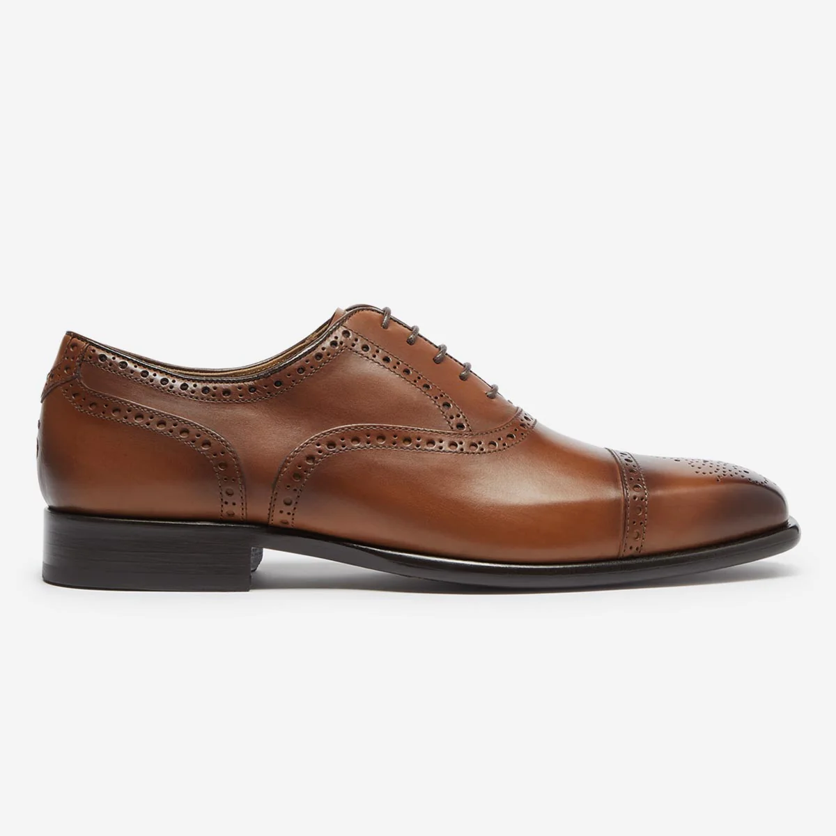 Falerna Dark Tan - Image 3