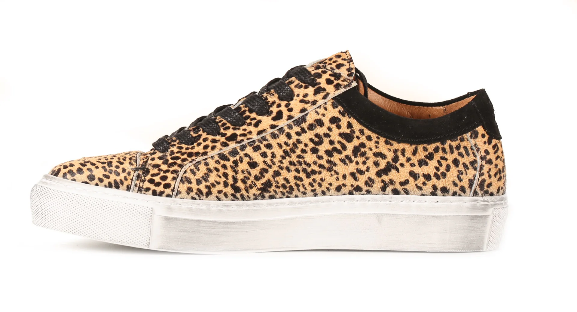 Guarda Leopard - Image 7