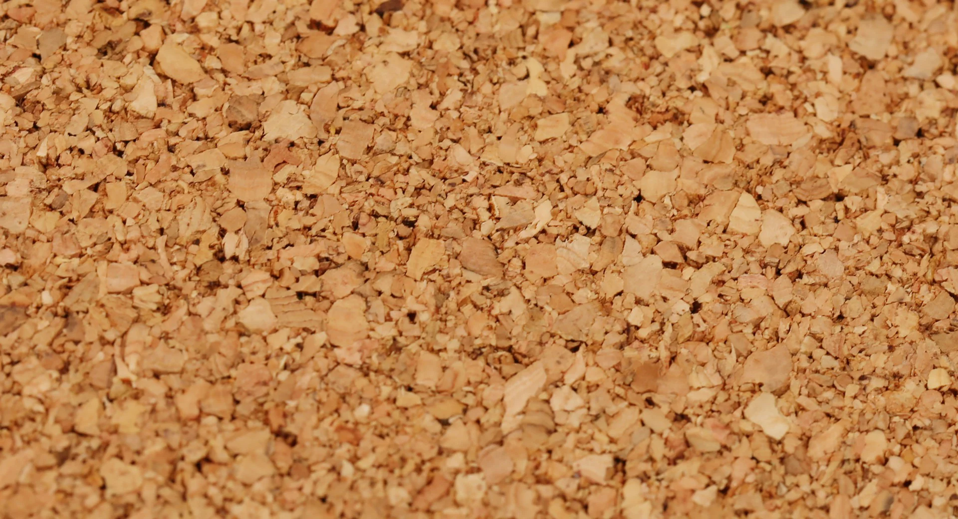 Insole - Image 7
